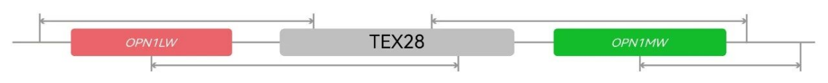 2035911605174706176.png 2035911605174706176.png